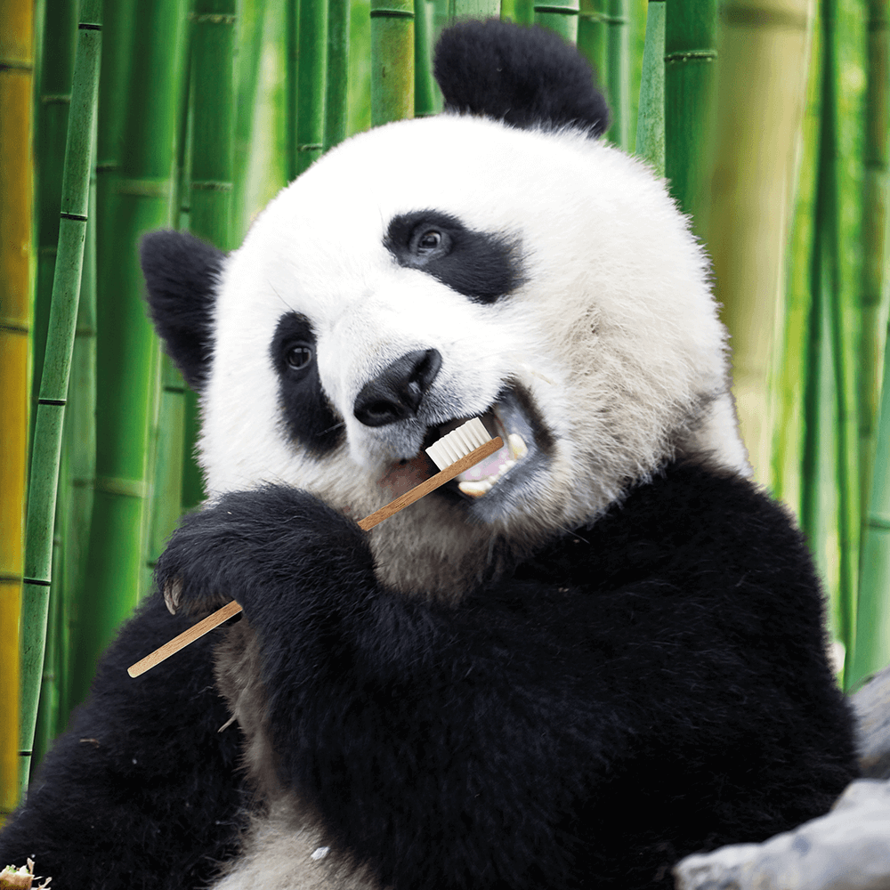 Οικολογική Παιδική Οδοντόβουρτσα Bamboo Superwhite