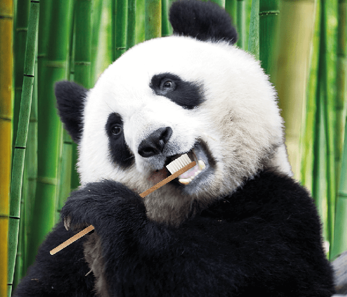 Οικολογική Οδοντόβουρτσα Bamboo Superwhite 
